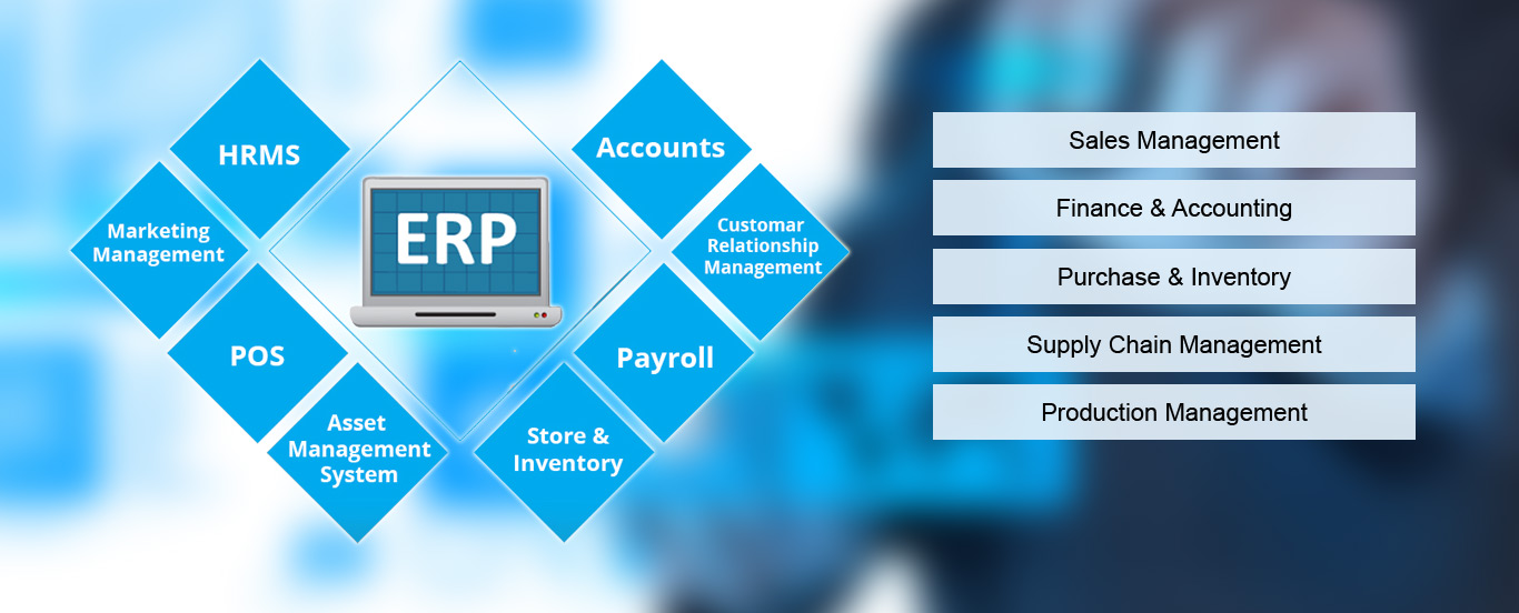 Custom ERP software development team